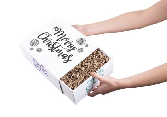 Merry Christmas Decoration Sign: A Vibrant Graphic Design Asset for Crafty Brands